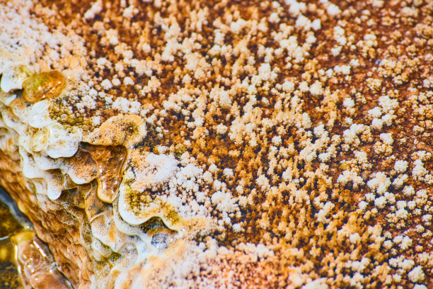 黄石公园温泉梯田的宏观纹理素材图片下载