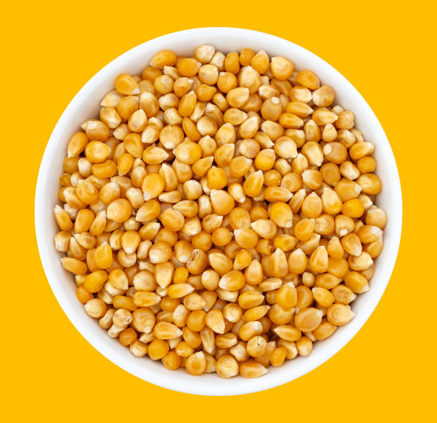 顶视图的碗与玉米粒未煮。在陶瓷碗里生的爆米花粒。该图像是剪切出来的，在白色背景上被隔离，带有剪切路径图片下载