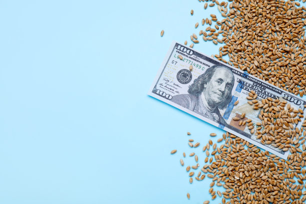 进出口概念。麦粒和钱放在浅蓝色的背景上，平铺着。文本空间图片下载