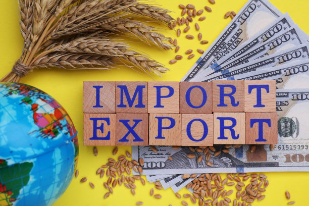 文字进出口用木块、地球仪、麦穗和钱做成，黄底平放图片下载