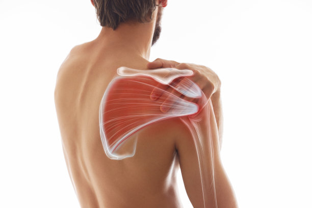 男人的肩部疼痛，与肌肉和身体结构有关。在白色的背景上从后面看人体。图片下载