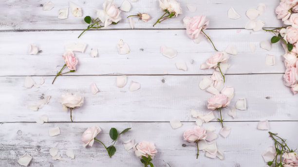 玫瑰框架在白色质朴的木制背景。情人节和母亲节的背景。假日模型。本空间图片下载