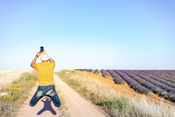 一个夏天的下午，一个成年男子在用手机拍薰衣草田的照片时跳了起来。这个男人穿着牛仔裤，黄色t恤，戴着帽子。图片下载