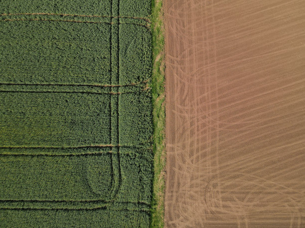 种植小麦的田地和用上面的土壤耕作的农田图片下载