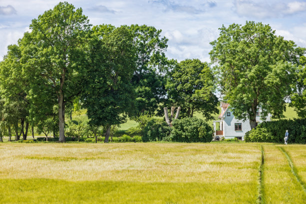 在乡下树林里的房子图片下载