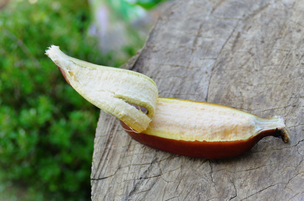 木桌下的一颗红达卡香蕉图片下载