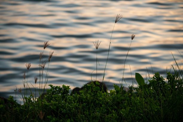 提取日出和日落时刻的海水反射。彩色水反射图片下载