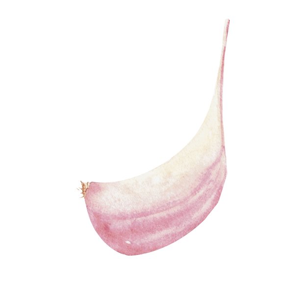 水彩画图片下载