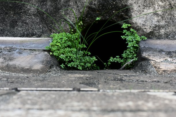 一个小洞穴图片下载