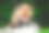 红狐，秃鹫，秃鹫，森林里石头上的幼崽。大自然中的野生动物图片下载