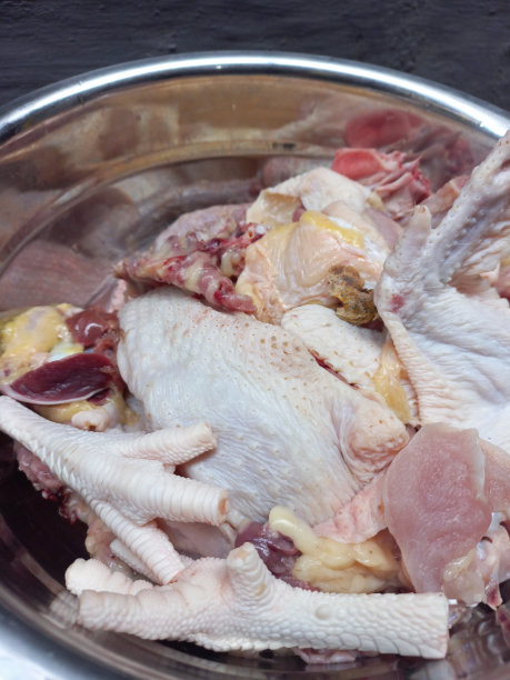 生肉鸭图片库存照片图片下载