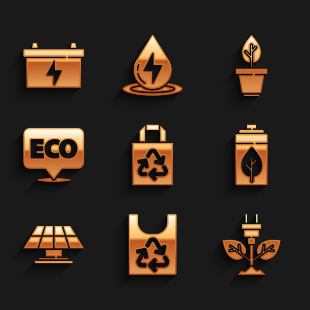 设置纸袋回收，塑料，节电插头叶，生态自然和电池，太阳能电池板，生态健康食品的标签，花盆和汽车图标。向量图片下载