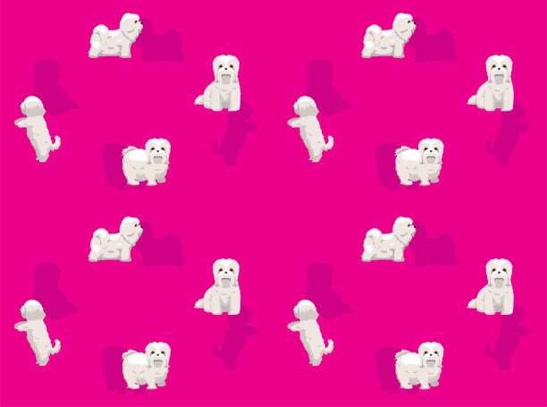 动物狗哈瓦那卡通姿势无缝壁纸背景图片下载