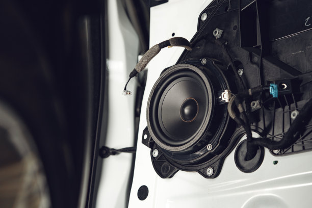 车门上的音响关闭了图片下载