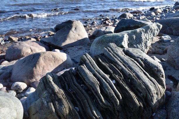 从人群中脱颖而出。图片下载