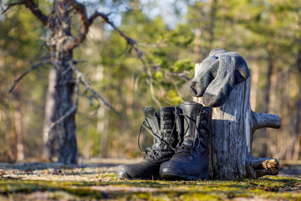 徒步旅行的靴子和袜子在森林里被太阳晒干了。图片下载