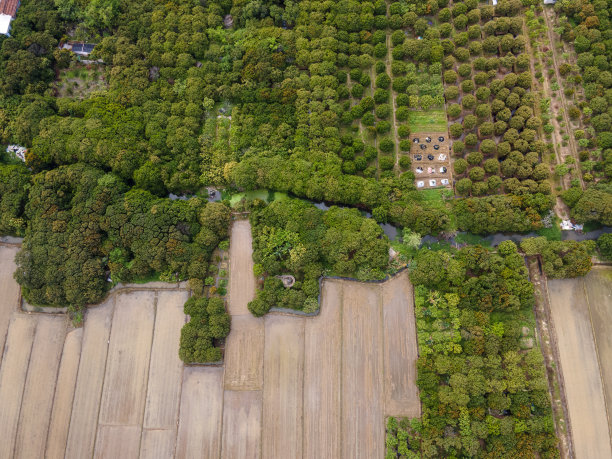 农田鸟瞰图图片下载