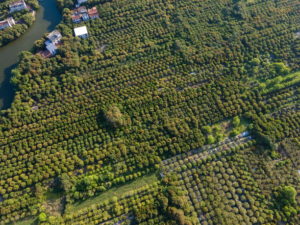 水边农田鸟瞰图图片下载