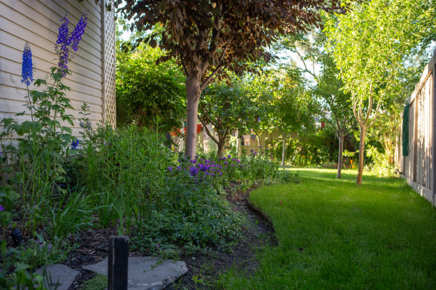 有树的侧屋花园图片下载