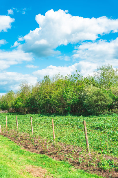 英国欧斯谷公园的夏季景观图片下载