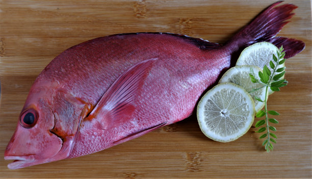 船上有新鲜的红鲷鱼。图片下载