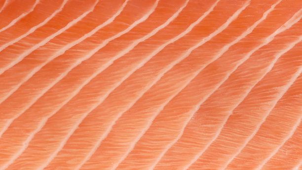 特写中的一条红色的鱼。鳟鱼片，鲑鱼。图片下载