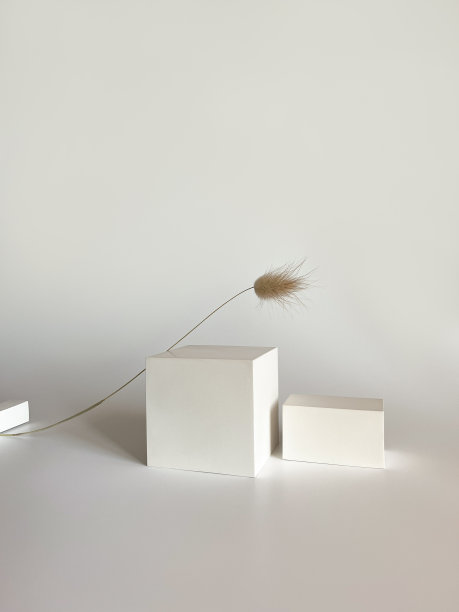 皮肤或头发护理产品的模型。工作室的照片图片下载