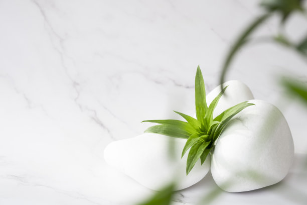 白石水疗中心图片下载