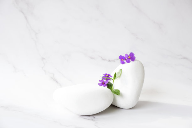 白石水疗中心图片下载