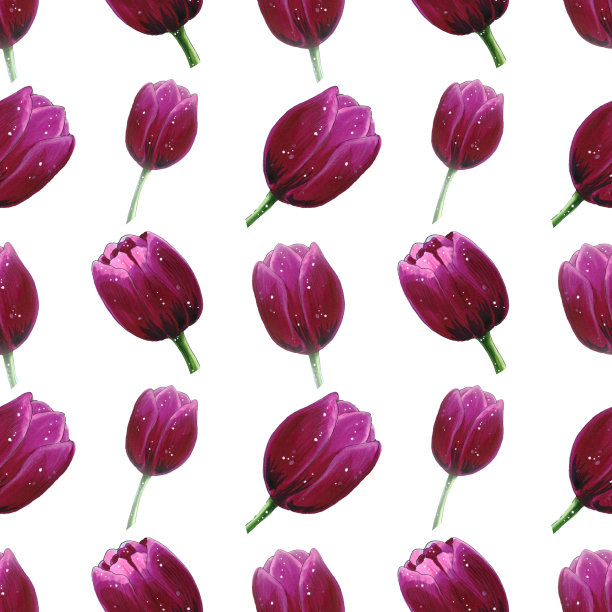 美丽的盛开郁金香水彩无缝花卉图案隔离在白色的背景图片下载