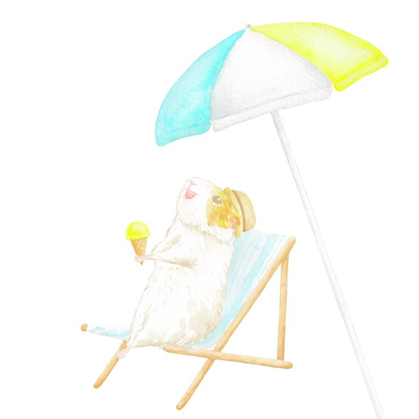 一只可爱的仓鼠在沙滩椅上放松。图片下载