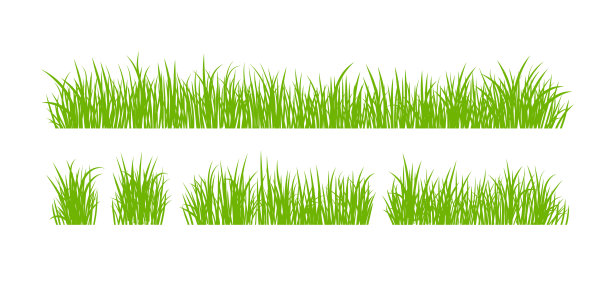 集鲜绿草隔离图片下载