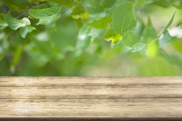 木质桌子与森林散景背景图片下载