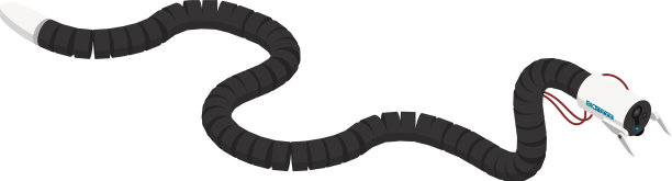 等距蛇形机器人图片下载