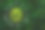 掌握自然环境和碳中和概念，实现净零排放目标。天气中立的长期战略目标云在绿色零净图片下载