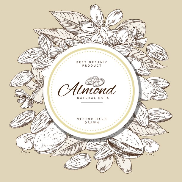 装饰圆形框架与手绘单色杏仁坚果，树叶和花朵图片下载