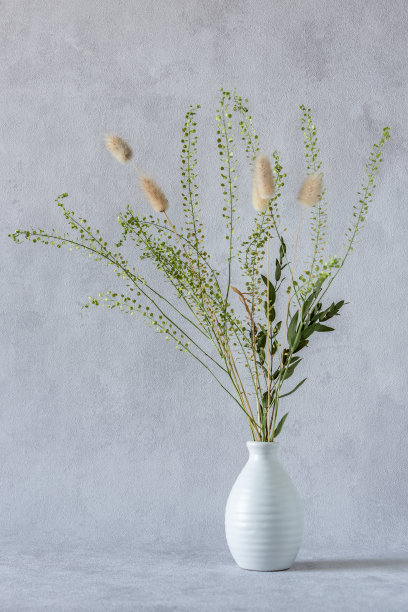 花瓶里的干枯植物花束在灰色背景上。图片下载