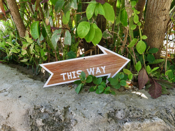 木制箭头。图片下载