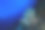 热带珊瑚礁水下景观图片下载