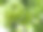 苹果树枝上的苹果在成熟过程中模糊的背景。图片下载