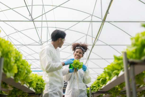 非裔美国研究员和植物遗传学专家。对水培蔬菜园的品质和细菌进行了试验。研究人员正在收集样本，以测试从农场用水中种植的蔬菜。图片下载