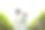 非裔美国研究员和植物遗传学专家。对水培蔬菜园的品质和细菌进行了试验。研究人员正在收集样本，以测试从农场用水中种植的蔬菜。图片下载