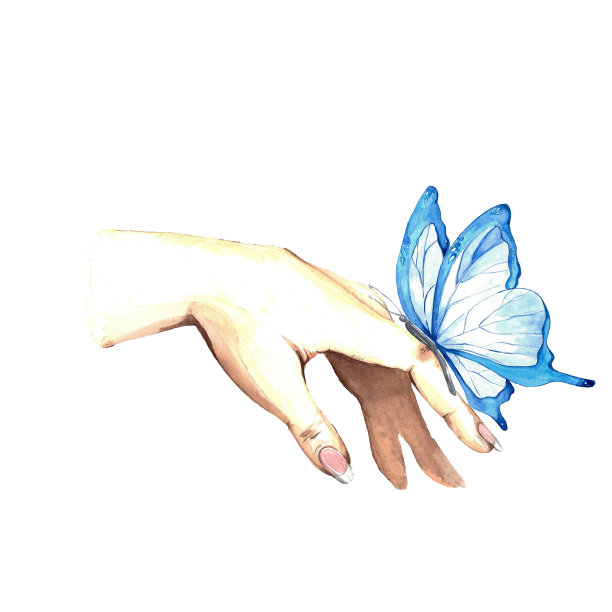 一套水彩插图。蓝蝴蝶，荷花，树叶，手。设计及明信片图片下载