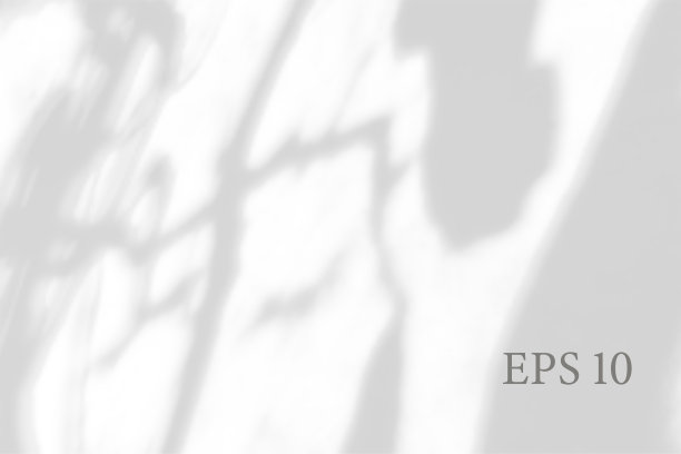 透明的自然树荫。灯光效果叠加。编织网。地上树枝的影子。介绍你的设计卡，海报照片现实矢量插图图片下载