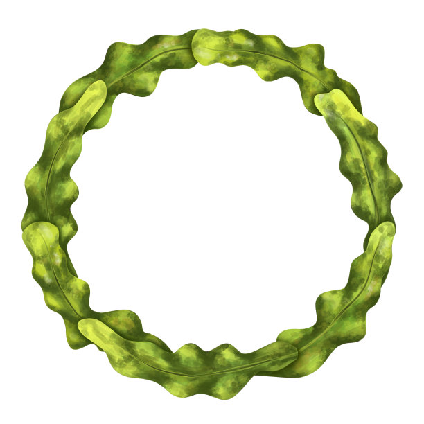 由海洋绿藻制成的圆形框架。热带水下和野生世界。白色背景上的数字插图。用于印刷贴纸，海报，明信片，印刷品，纪念品。图片下载