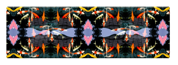 上面的长桌上有花式鲤鱼在池塘里，孤立在白色的背景上，五颜六色的图案图片下载