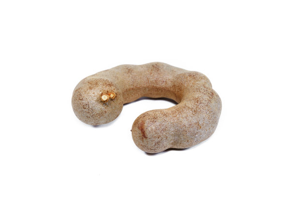 特写甜罗望子孤立在白色背景图片下载