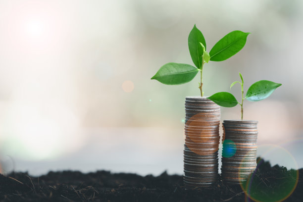 钱与树生长在钱上投资理财成长的概念。图片下载