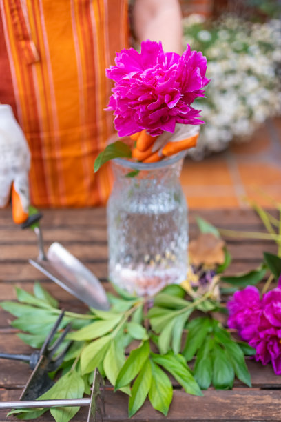 女子在花园里把牡丹插在花瓶里，用水装饰房子。图片下载