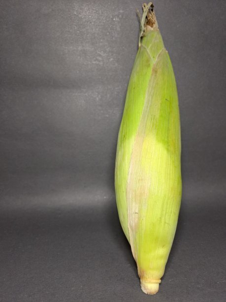 黑色背景上的新鲜玉米图片下载